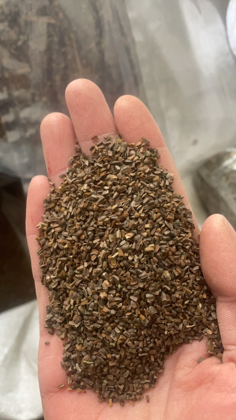 茺蔚子茺蔚籽保庆药业批发盗图必究实物拍摄！