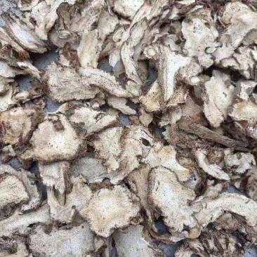 陕西【独活】全国发货质量保证，品种纯正，假一赔十欢迎咨询