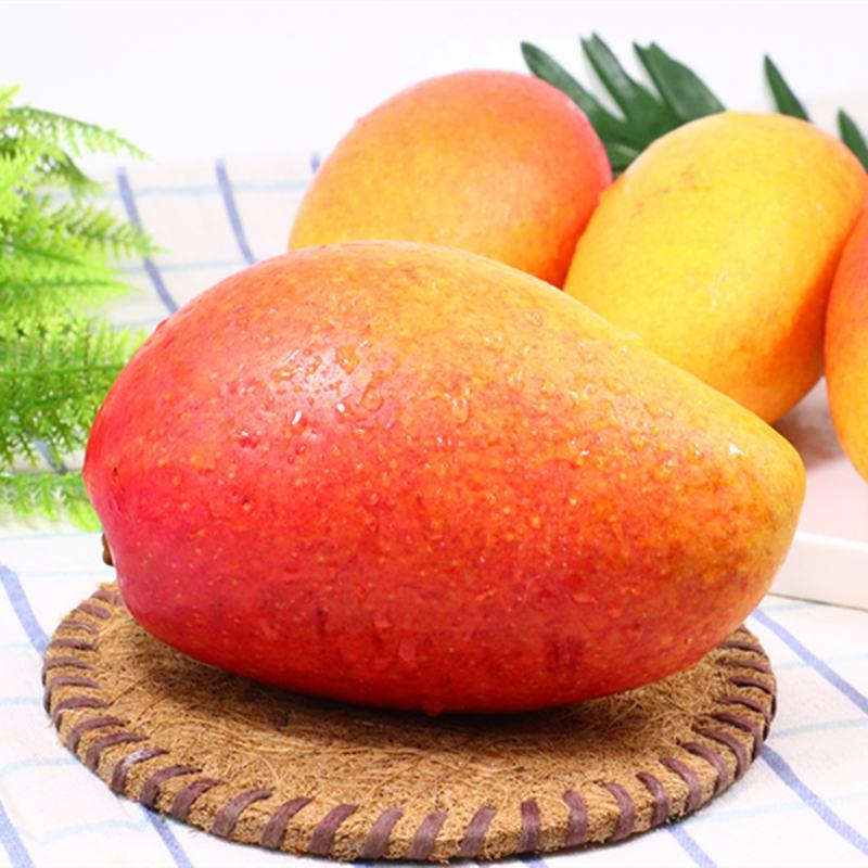 电商一件代发海南贵妃芒芒果新鲜9斤水果当季量大从优基供