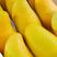 一件代发广西百色金煌芒果当季热带水果现摘现发新鲜金煌芒