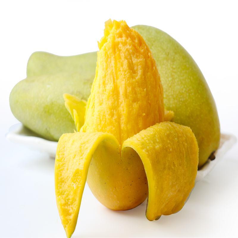 一件代发海南三亚金煌芒芒果当季热带水果现摘现发新鲜金煌
