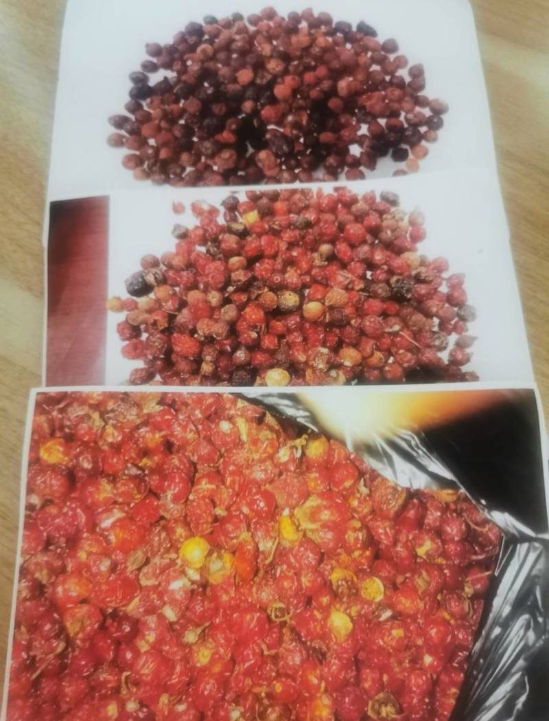 刺玫果