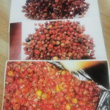 刺玫果