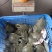 纯源头养殖，优质肥美生态甲鱼，全身是宝，品质保障。