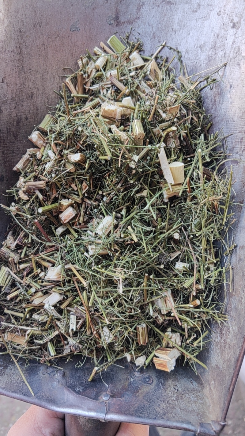 青蒿干货中草药干净无杂质常年经营各种中药材