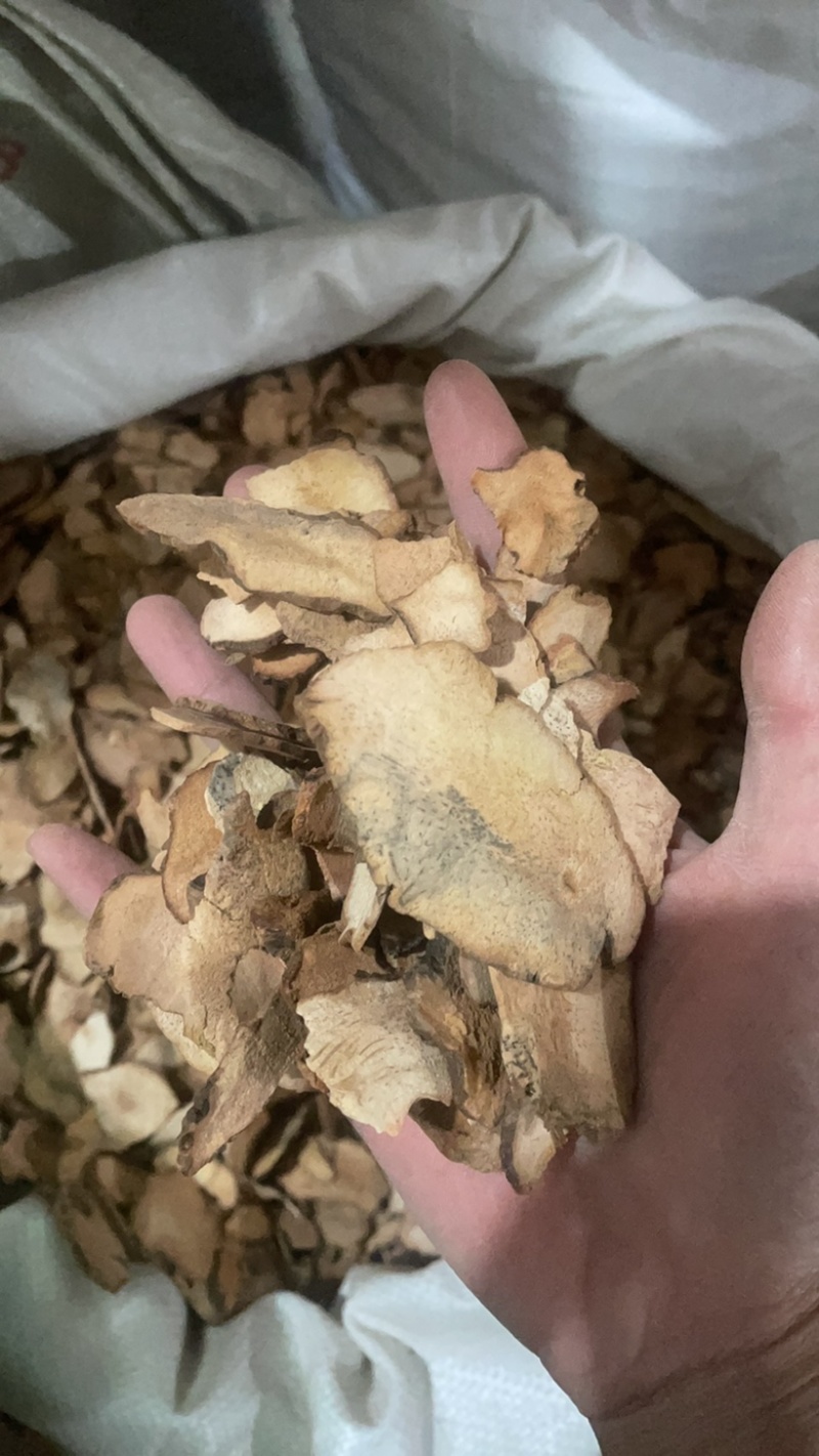 土茯苓土茯苓保庆药业批发土茯苓干片实物拍摄！