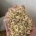 白茅根茅根保庆药业批发白茅根现货干净无杂质