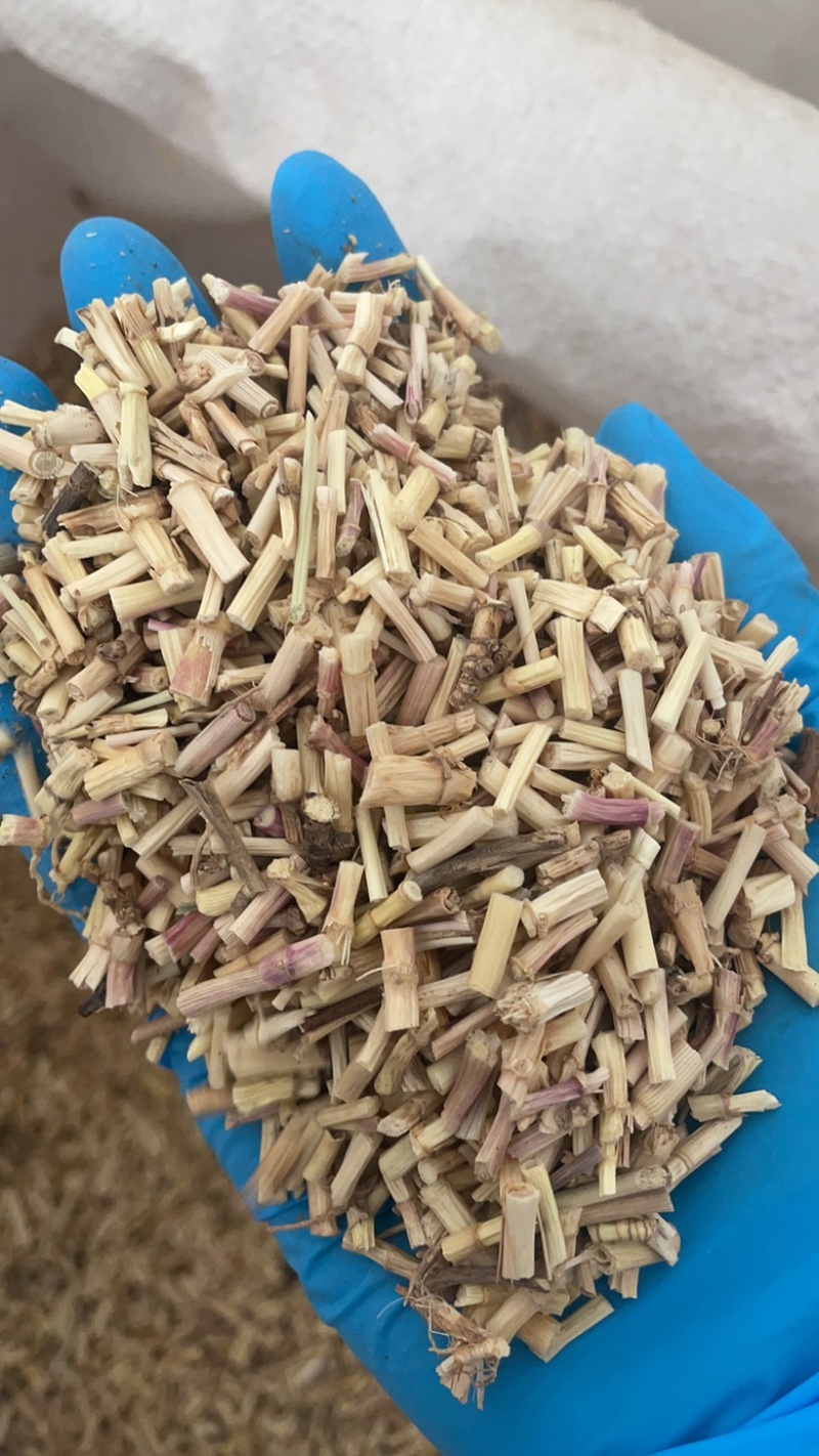 白茅根茅根保庆药业批发白茅根现货干净无杂质