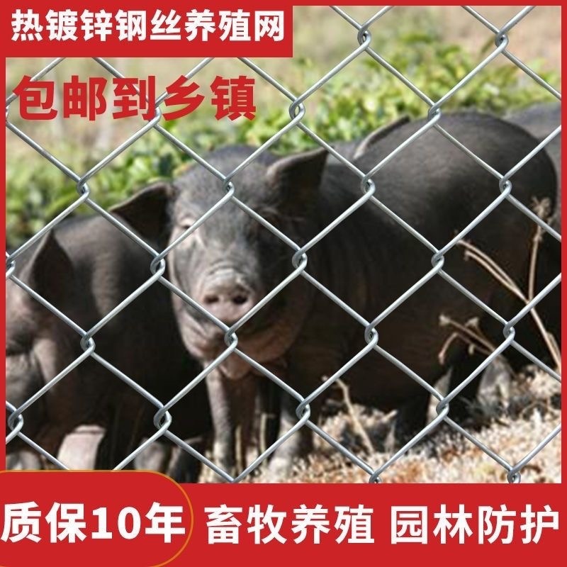热镀锌铁丝网养鸡狗牛羊养殖网勾花网钢丝网户外防绣防护网
