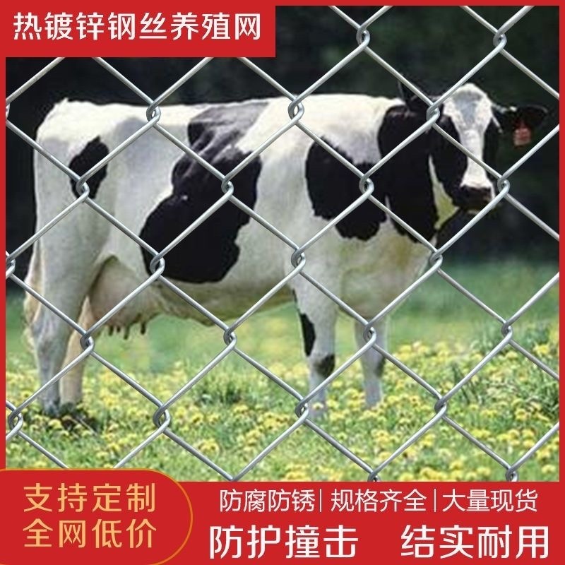 热镀锌铁丝网养鸡狗牛羊养殖网勾花网钢丝网户外防绣防护网