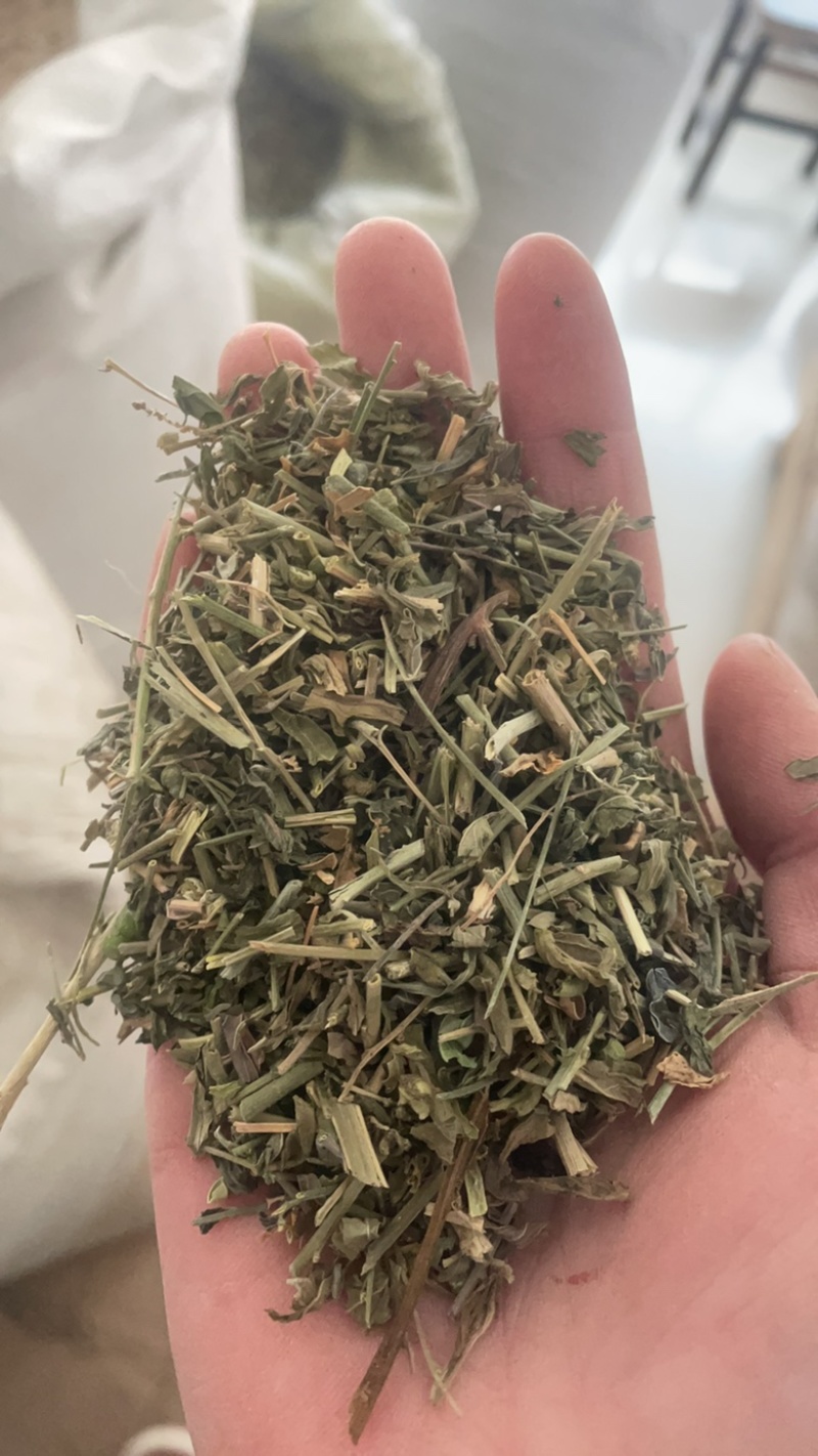 透骨草珍珠透骨草保庆药业透骨草实物拍摄发货如图