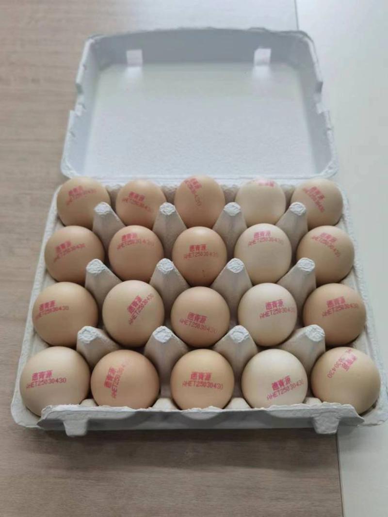 草本土鸡蛋琅琊鸡蛋，精品鸡蛋，礼盒包装欢迎电话咨询