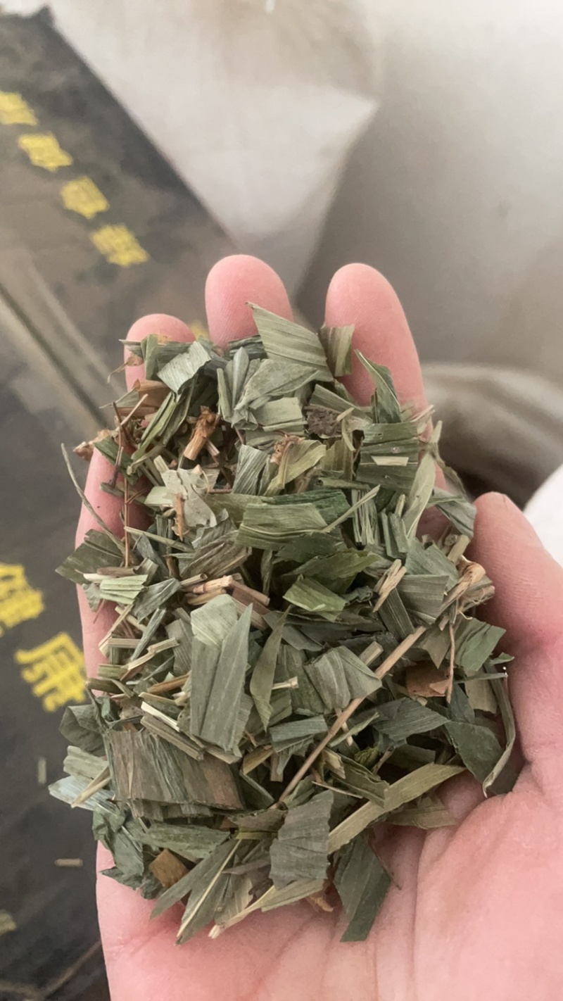淡竹叶竹叶保庆药业批发淡竹叶实物拍摄