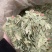 泻叶泄叶番泻叶保庆药业批发发货前过筛颜色青
