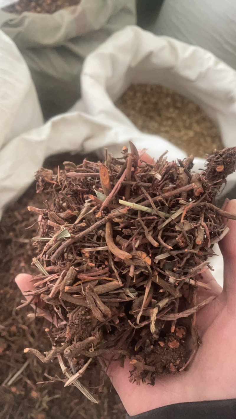 茜草纯根茜草实拍正品茜草发货如图过筛货