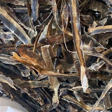 广地龙干货切片个子规格齐全含量达标量大从优