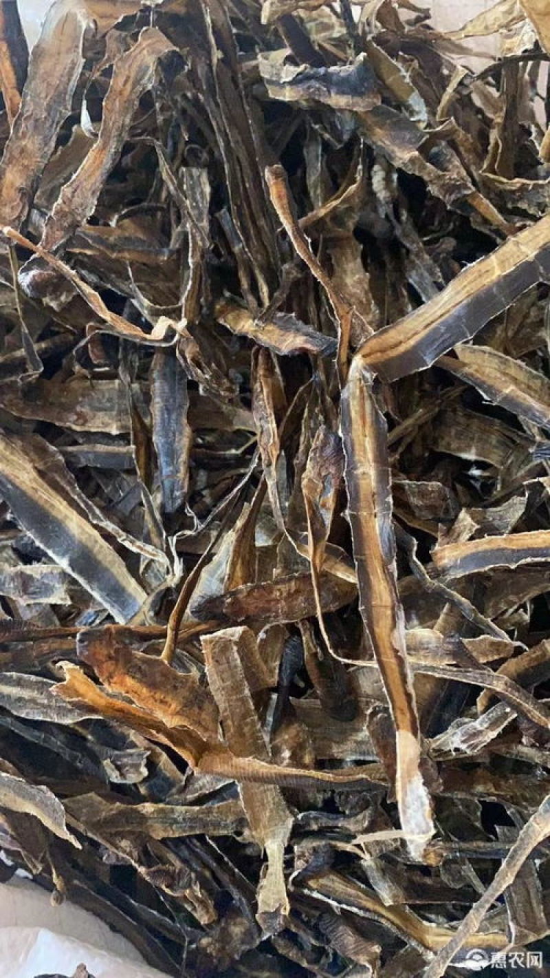 广地龙干货切片个子规格齐全含量达标量大从优