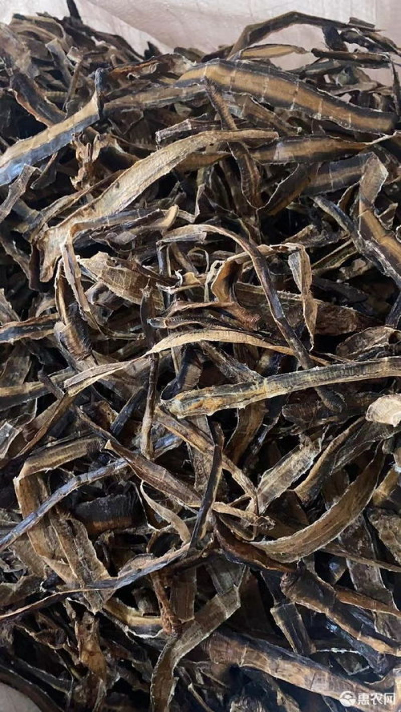广地龙干货切片个子规格齐全含量达标量大从优