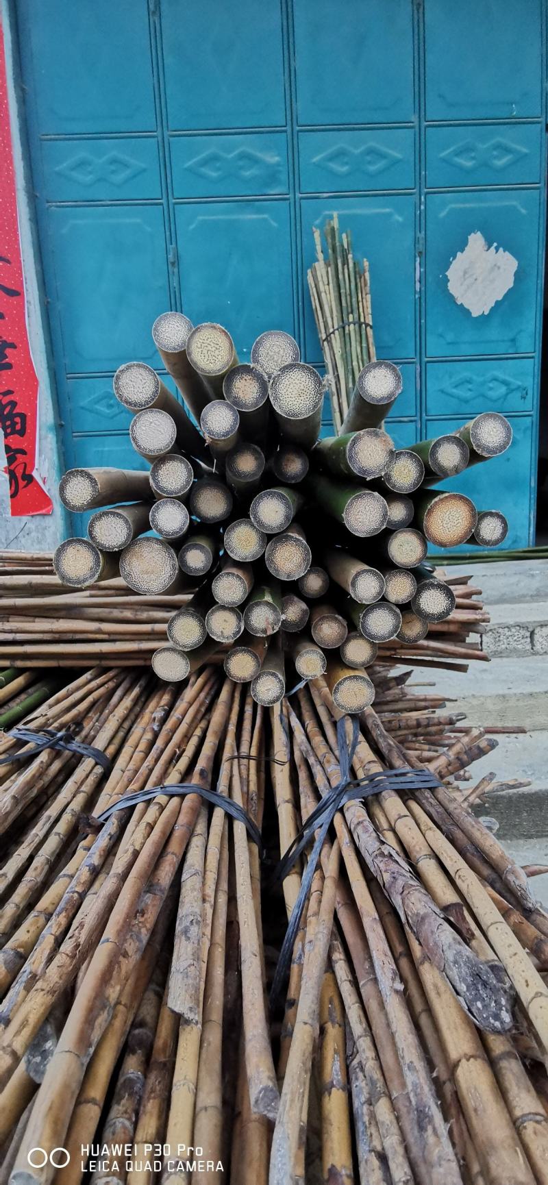 金丝竹，实心竹棕竹