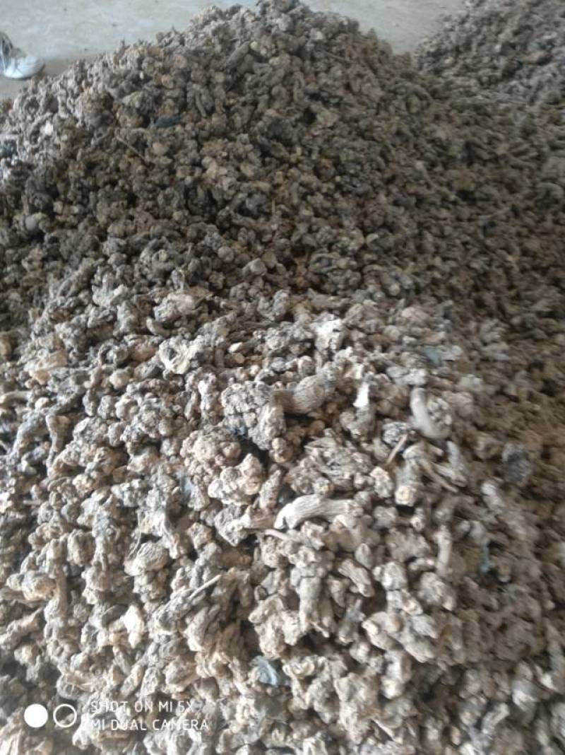 朱沙点北苍术，20吨，