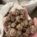 藕节保庆药业批发藕节实物拍摄中药材藕节干藕节