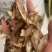 白蔹中药材白敛山地瓜实物拍摄白蔹片