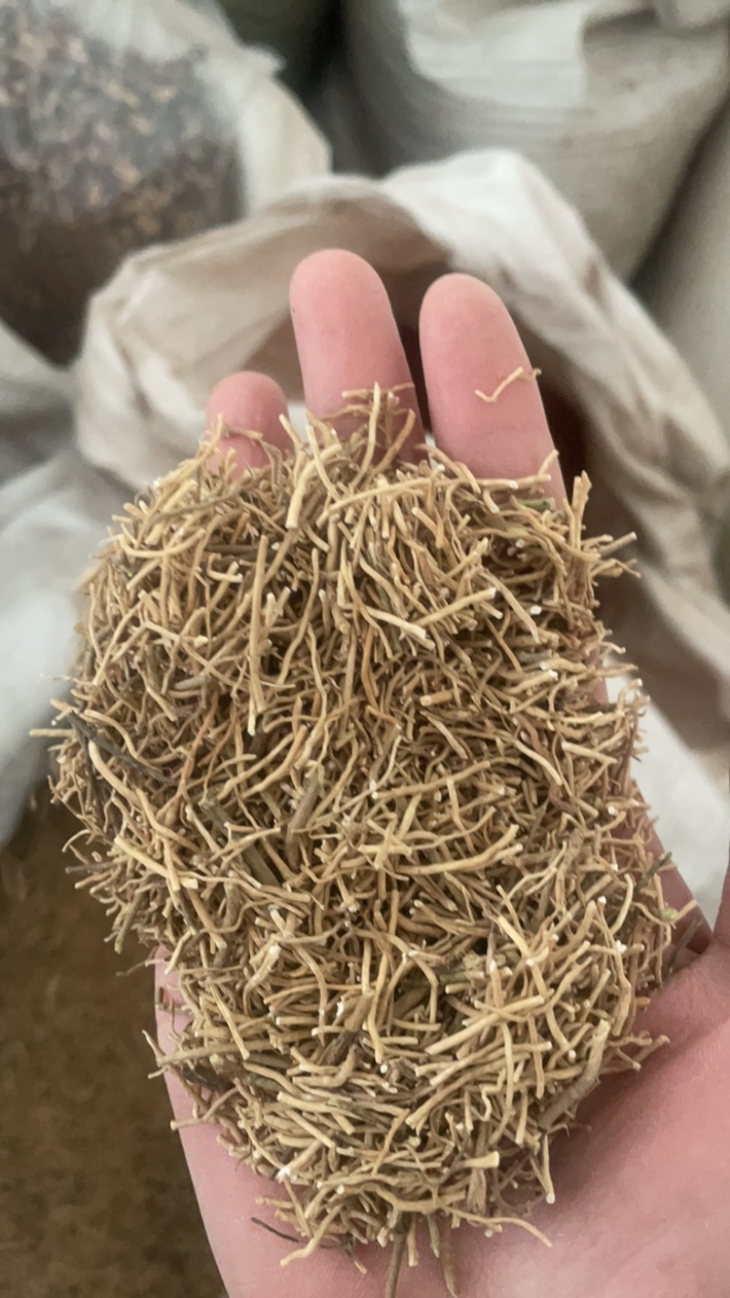 徐长卿根货水洗无杂质逍遥竹对节莲廖刁竹一份价格一分货