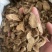 木香广木香统货木香保庆药业批发过筛货木香