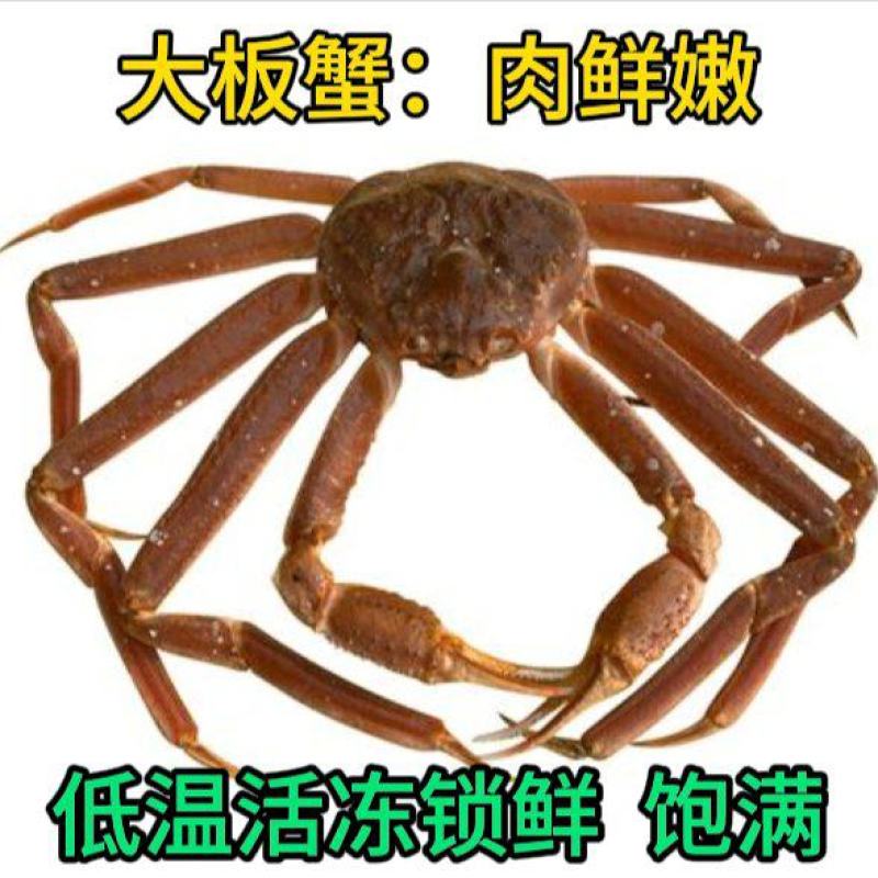 生冻大板蟹松叶蟹长脚蟹国内海鲜活速冻低价批发