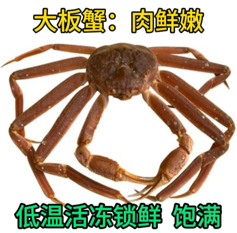 生冻大板蟹松叶蟹长脚蟹国内海鲜活速冻低价批发