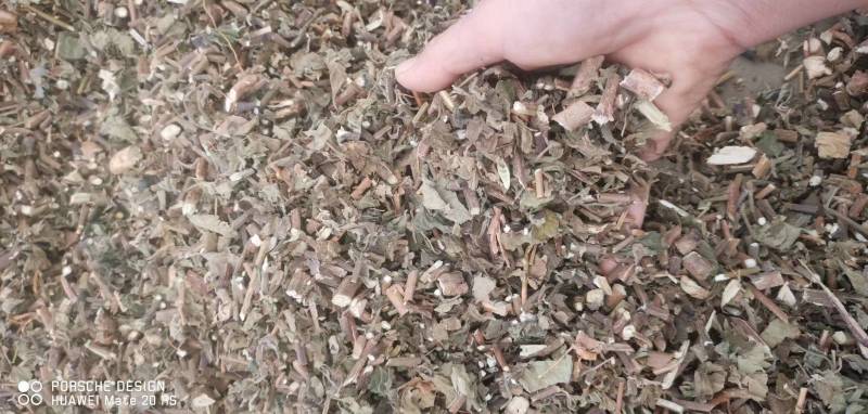 藿香今年新货味道浓郁过筛无杂质量大从优促销中