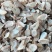 广郁金0.6筛以上大统货新货无硫低价出售优惠