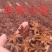 【产地直销】质量保证广西高山生鲜八角大红八角产地