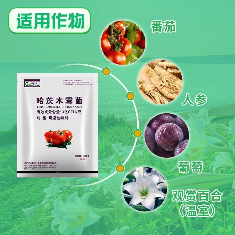 美国拜沃哈茨木霉菌番茄灰霉病霜霉病立枯病猝倒病根腐病