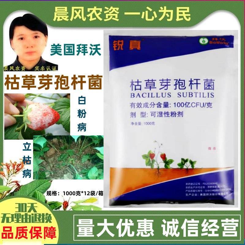 拜沃锐真枯草芽孢杆菌草莓白粉病人参立枯病土传根部病害杀
