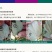 拜沃锐真枯草芽孢杆菌草莓白粉病人参立枯病土传根部病害杀