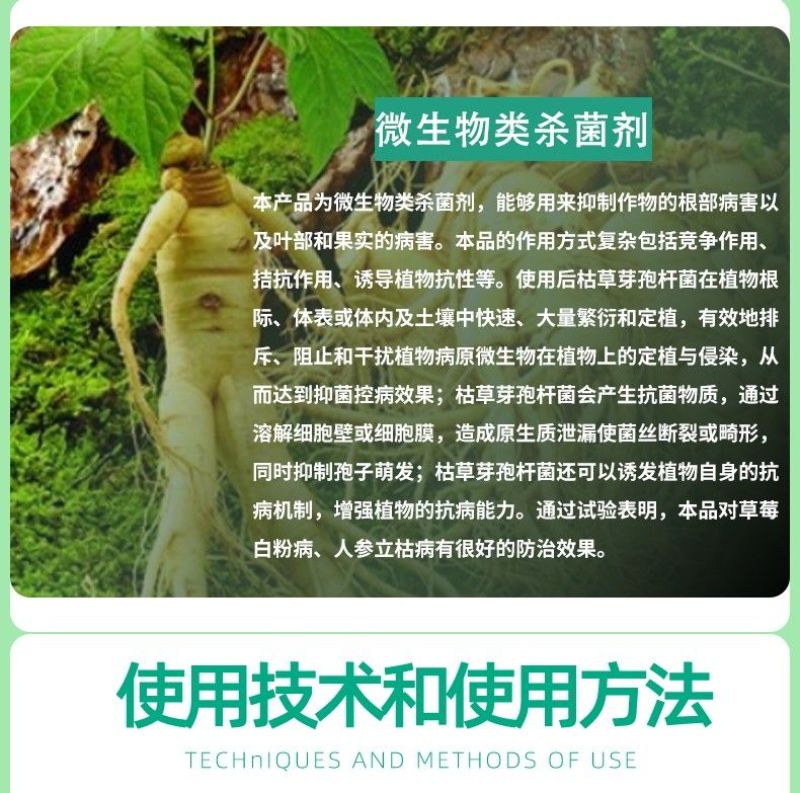 拜沃锐真枯草芽孢杆菌草莓白粉病人参立枯病土传根部病害杀