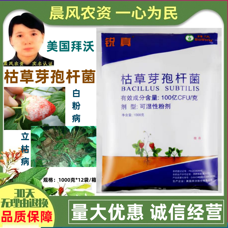 拜沃锐真枯草芽孢杆菌草莓白粉病人参立枯病土传根部病害杀