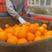 湖北九月红脐橙产地直发一手货源批发品质保证价格美丽