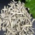 东北特产碎茄子条干货高品质***新货包邮