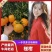 【推荐】椪柑芦柑无籽化渣纯甜无酸果园直采