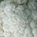 精品松花菜产地直发。货源充足，品质保证，量大从优可致电