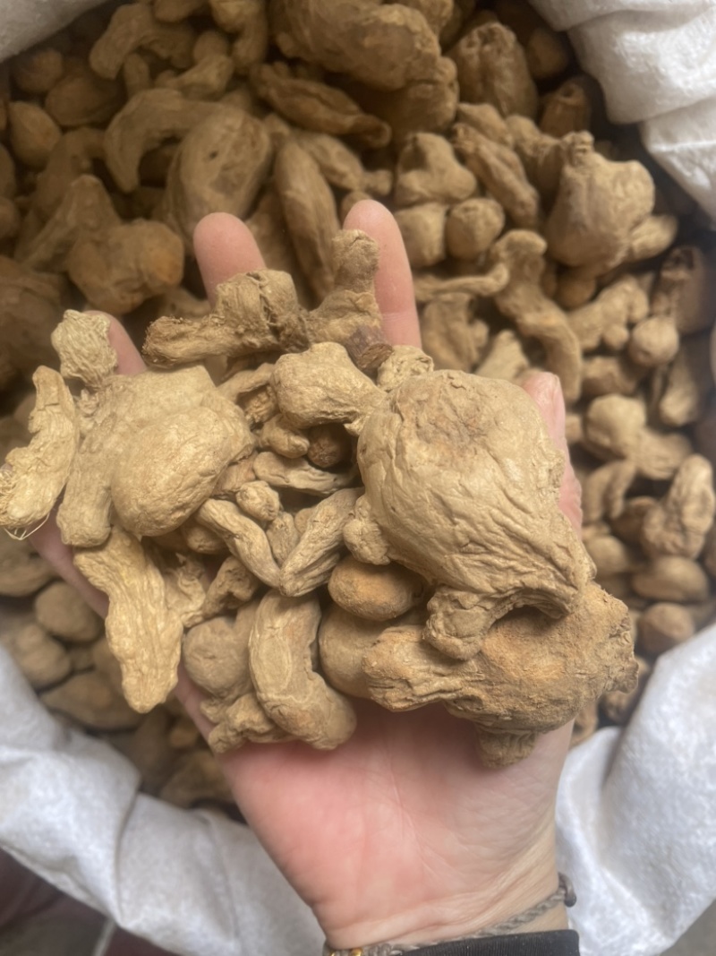炮姜实物拍摄味道浓实物拍摄炮老姜云南非次品