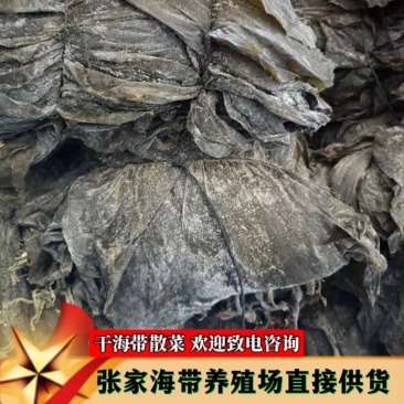 海带干海带散菜福建霞浦海带海带干海带皮挂菜山东海带养殖场