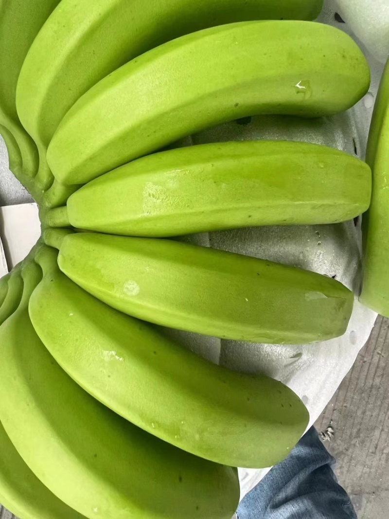 特价精品二级蕉，看着品质，源头筛选，需要的老板联系