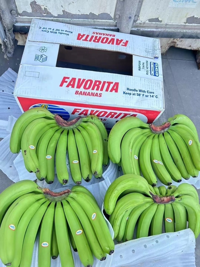 特价精品二级蕉，看着品质，源头筛选，需要的老板联系