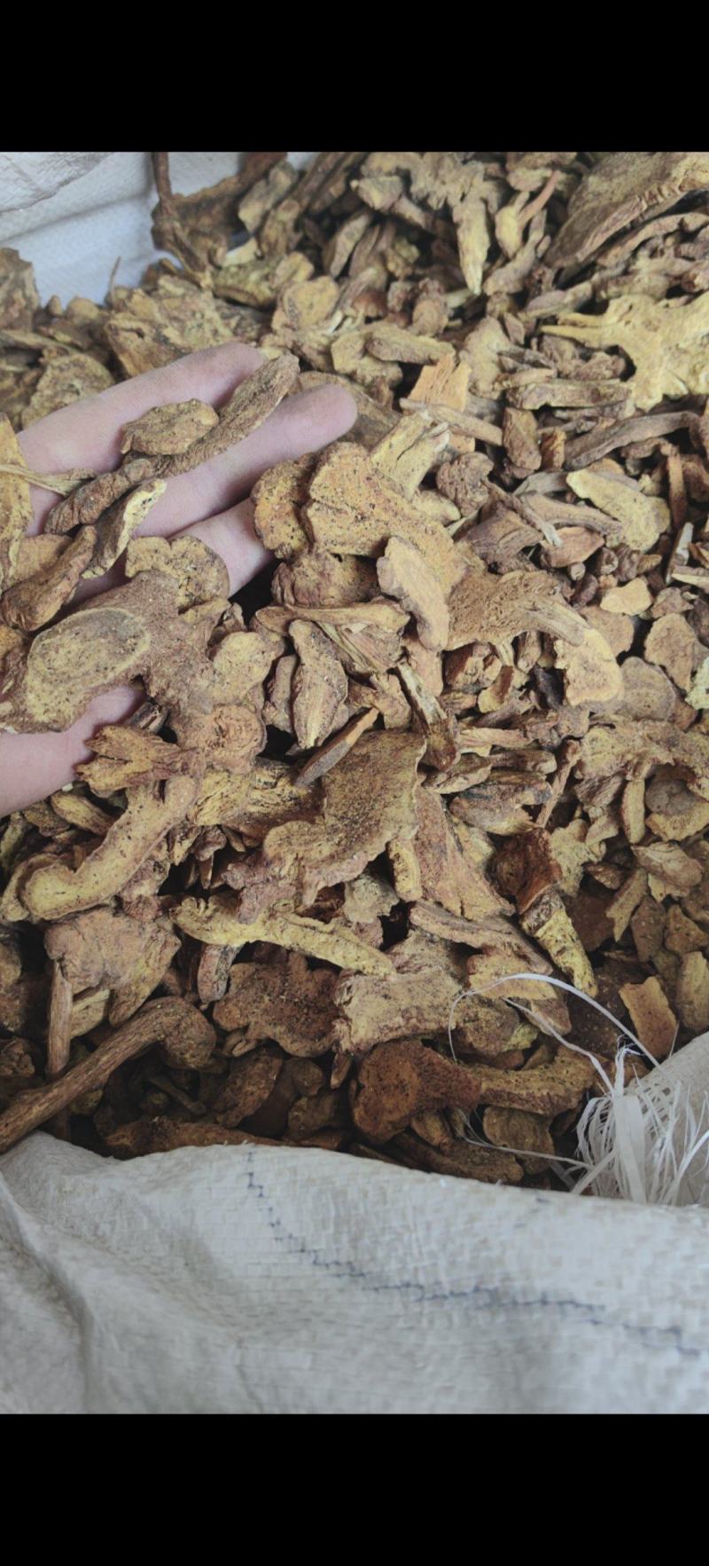 炒白术最近涨价品种过筛无杂质价格优惠正在促销中