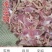 泡椒鸡杂调理半成品厂家直销可贴牌及一件代发拿样品直接联系