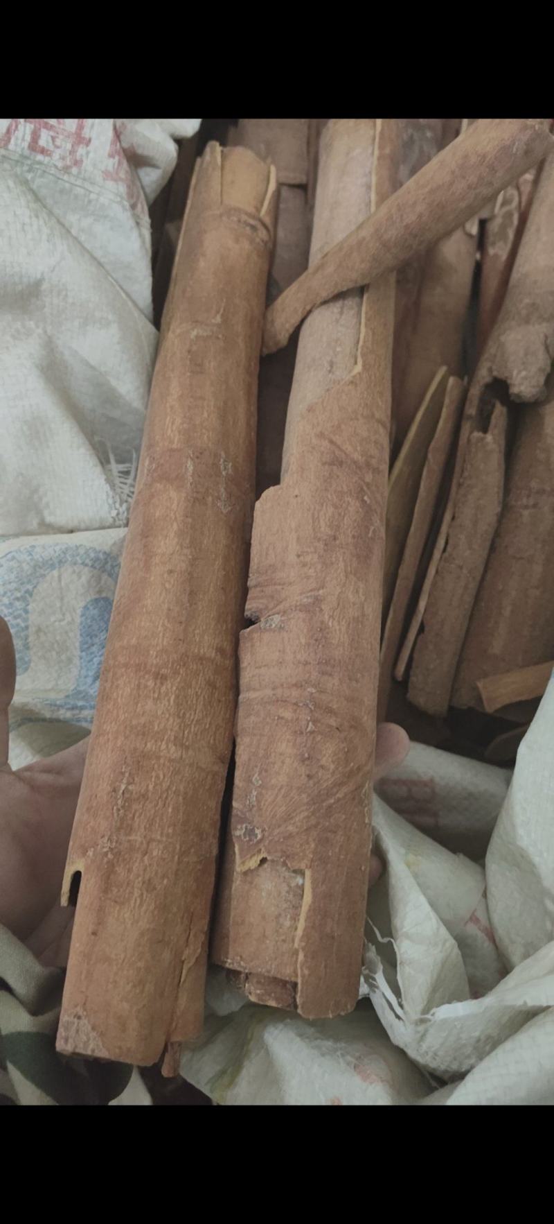 去皮肉桂通刮皮肉桂防城货味道浓郁地道药材量大从优