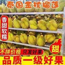 泰国新鲜进口金枕头榴莲带壳水果当季特产一手货源大量现货